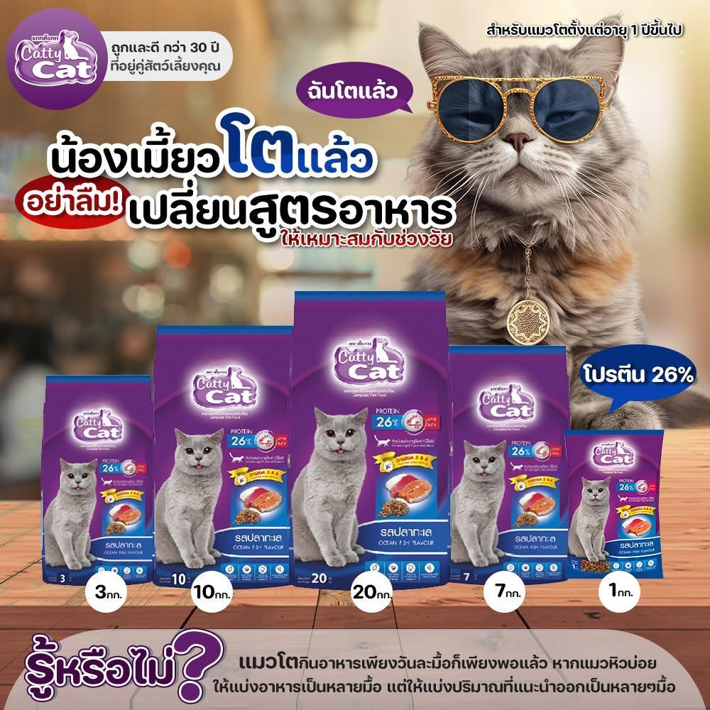 อาหารเม็ด Catty Cat รสปลาทะเล เม็ด4mix แสนอร่อย โปรตีนสูง ลดก้อนขน ขนนุ่มสวย ขนาด 20 กิโล (ขนาด 20กิโล) - Image 3
