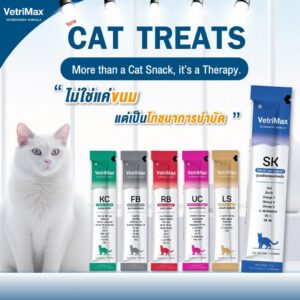 VetriMax ขนมแมวเลียเพื่อสุขภาพของน้องแมว 6 สูตร ขนาด 12 กรัม