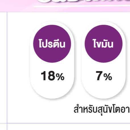 อาหารสุนัขโต 3 สี BOK DOK บ๊อกด๊อก Eco รสรวม ขนาด 10 kg.FT19 (ขนาด 10 กิโล) - Image 4