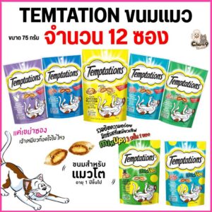 ขนมแมวสอดไส้ Temtation เทมเทชั่นส์ กรอบนอกนุ่มใน โปรตีน 30% ขนาด 75 กรัม