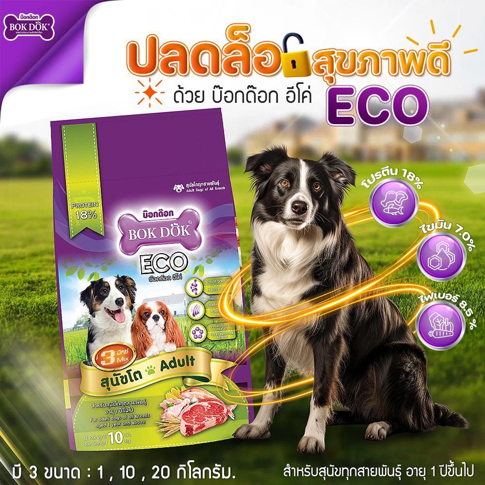 อาหารสุนัขโต 3 สี BOK DOK บ๊อกด๊อก Eco รสเนื้อและไก่ ขนาด20kg.FT29 (ขนาด 20 กิโล) - Image 6