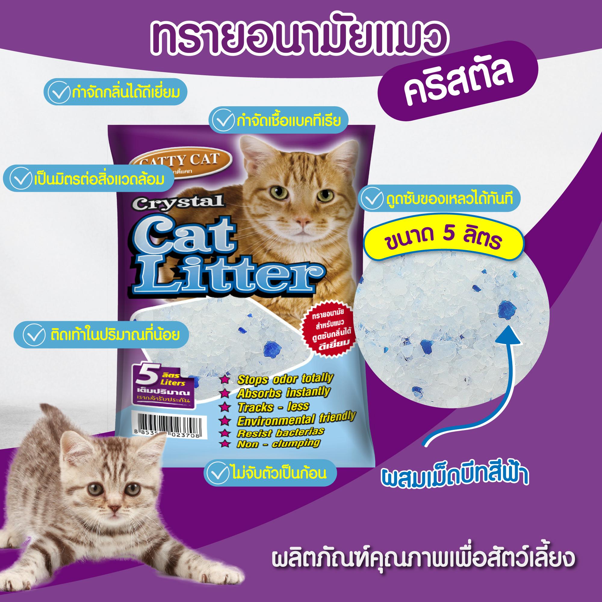 ทรายคริสตัล Catty cat ทรายแมวคริสตัล เม็ดบีท 5 ลิตร ไม่มีฝุ่น ไม่ติดขนแมว - Image 4