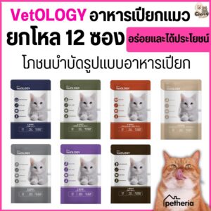 VetOLOGY เว็ทโอโลจี อาหารเปียกสำหรับแมว เพื่อสุขภาพ เหมาะกับแมวทุกช่วงวัย 80G