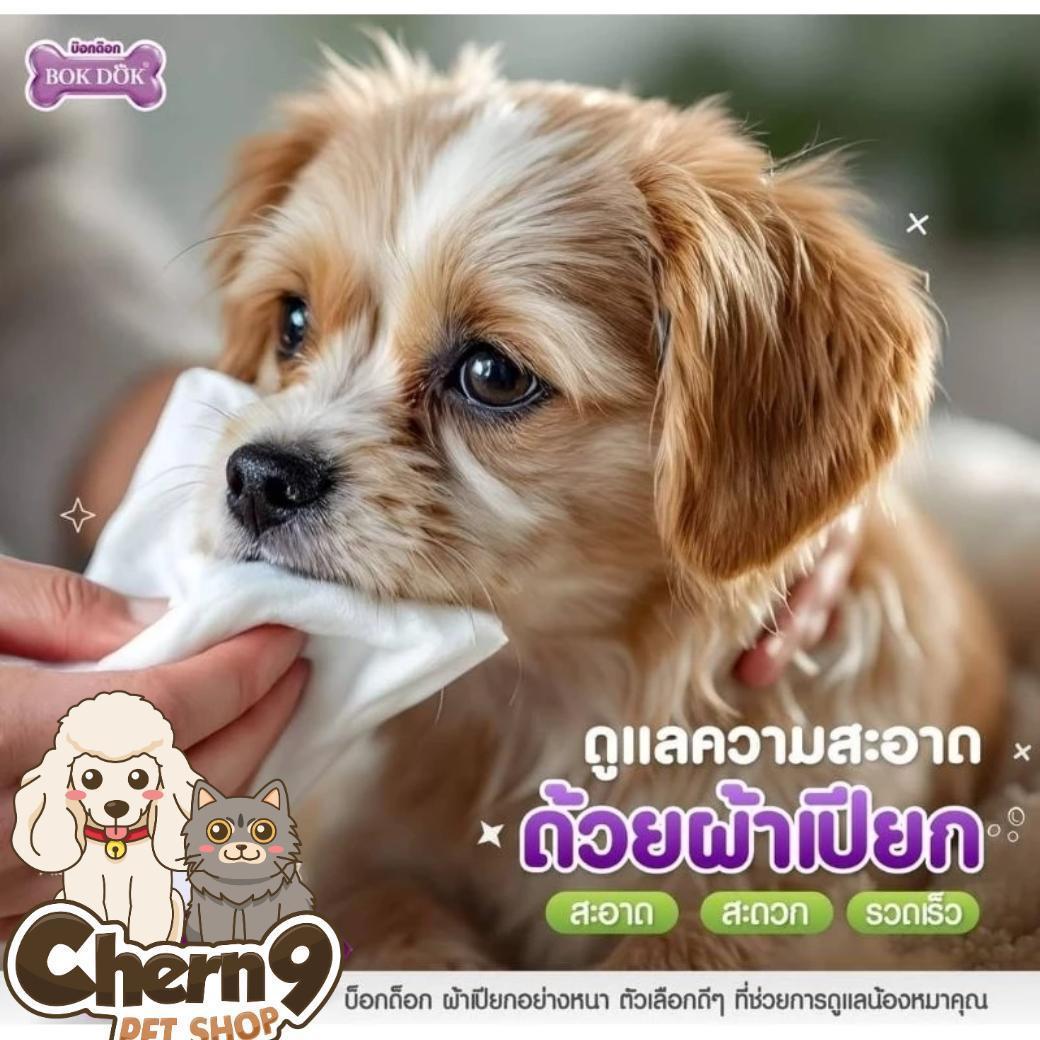 BOK DOK PET WIPES บ๊อกด๊อก เพ็ท ไวพ์ ผ้าเปียกทำความสะอาดสัตว์เลี้ยง - Image 4