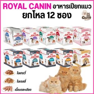 Royal Canin โรยัล คานิน อาหารเปียกแมวแบบซอง 10สูตร เนื้อเจลลี่ เนื้อเกรวี่ เนื้อบดละเอียด -85กรัม
